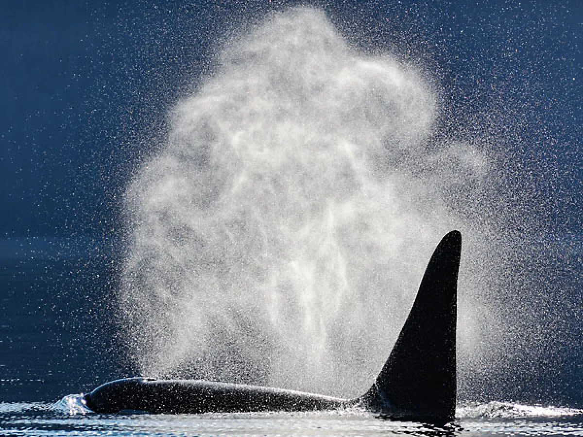 smoke coming out of the water