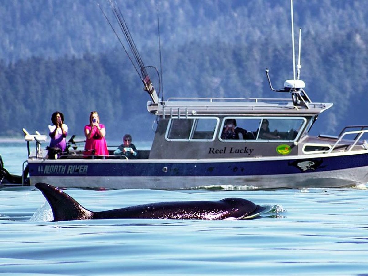 a man riding on the back of a boat in the water