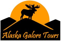 a close up of a logo