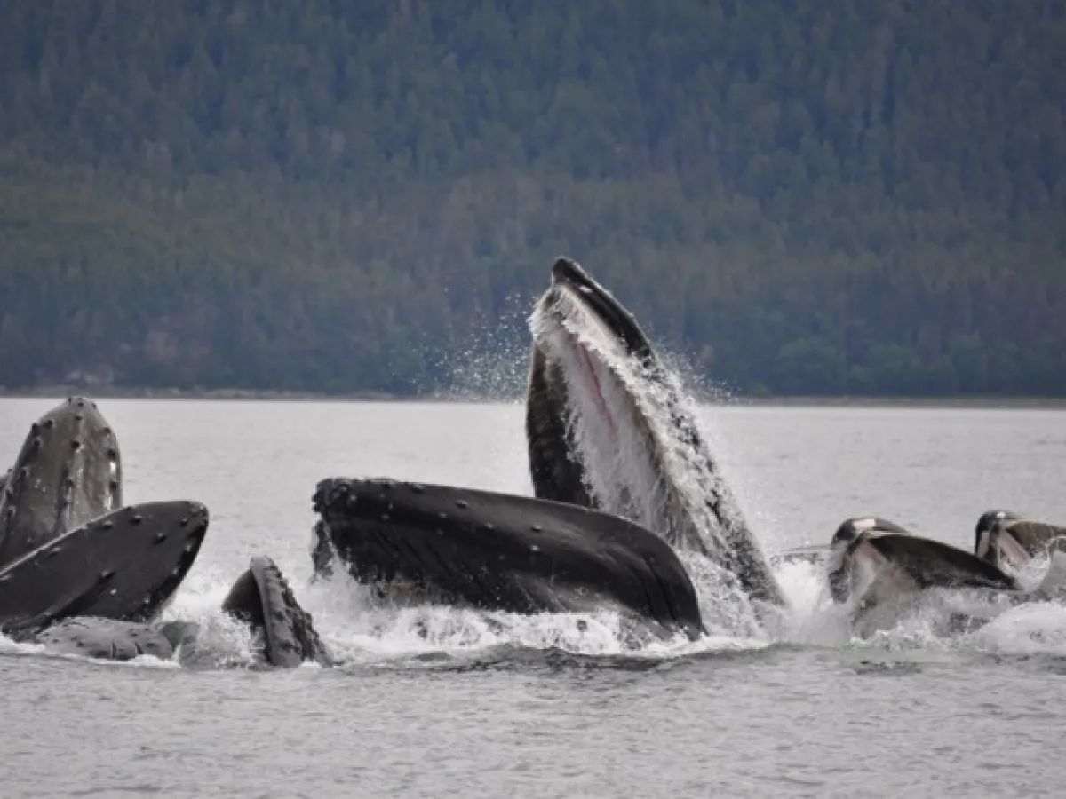 a small boat in a body of water